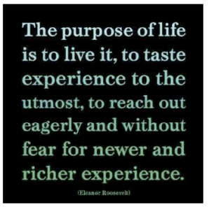 Purpose of Life