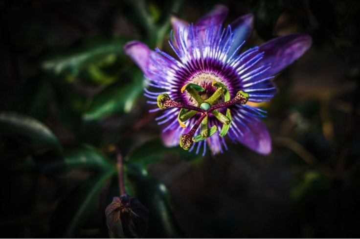 0a0c554c-867d-470b-8749-3812d0755502